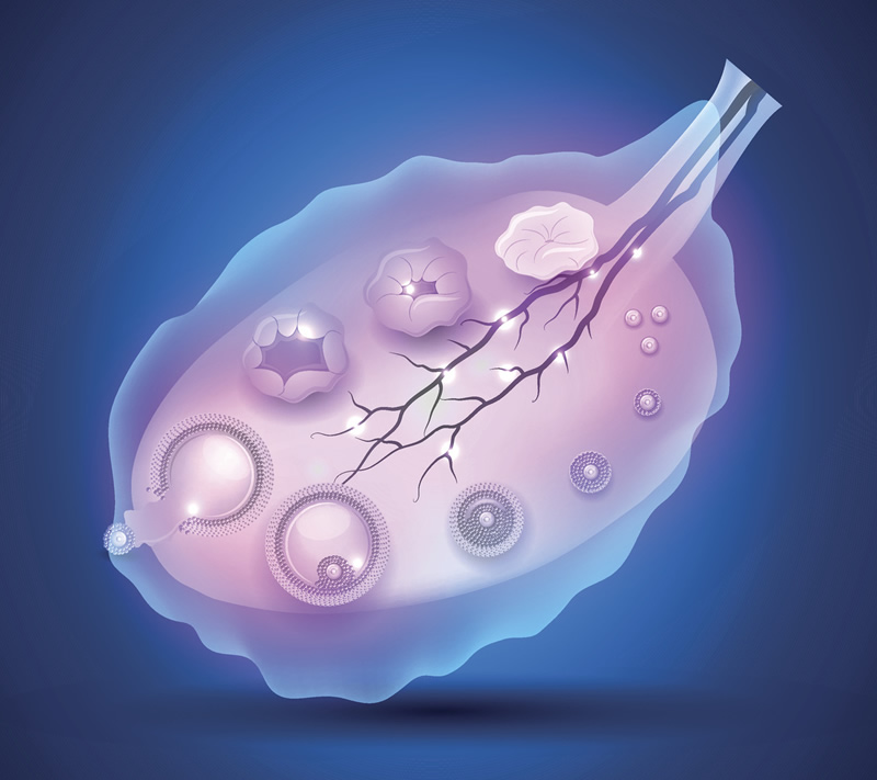 南京试管婴儿医院与卵裂期胚胎移植技术重点机构选择指南